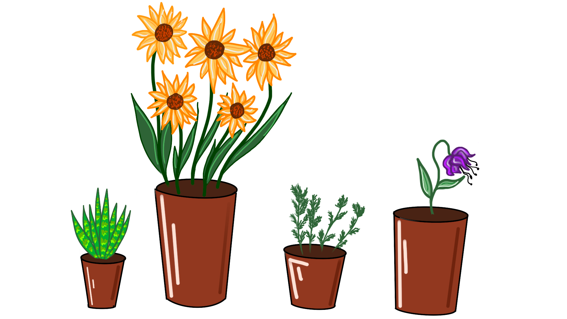 Various flowers in pots