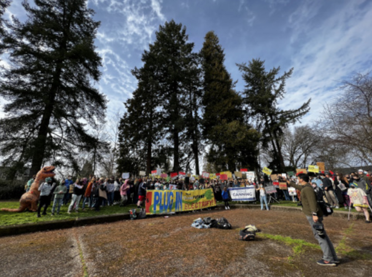 Wide-angle shot of protesters