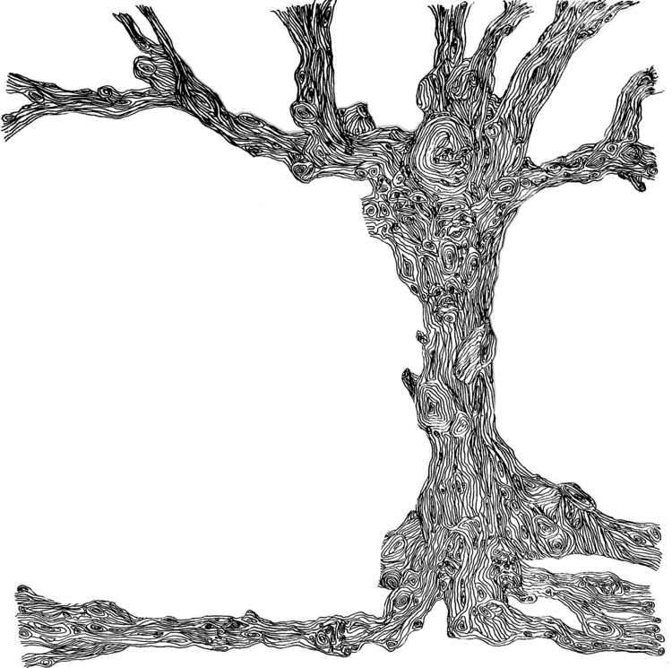 Drawing of a massive tree with great detail