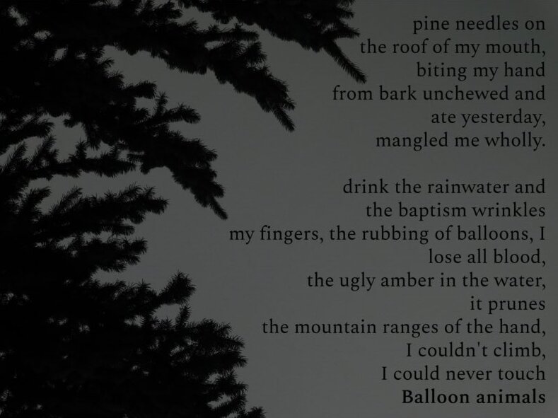 pine needles on the roof of my mouth, biting my hand from bark unchewed and ate yesterday, mangled me wholly.  Drink the rainwater and the baptism wrinkled my fingers, the rubbing of balloons, I loose all blood, the ugly amber in water, it prunes the mountain ranges of the hand, I couldnt climb. I could never touch Balloon Animals.